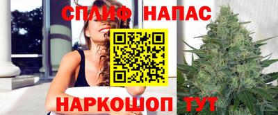 стаф Моздок